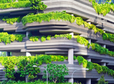 Photo of greenery on sustainable building