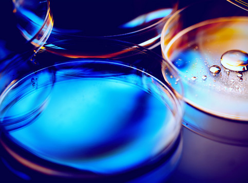 Science dishes