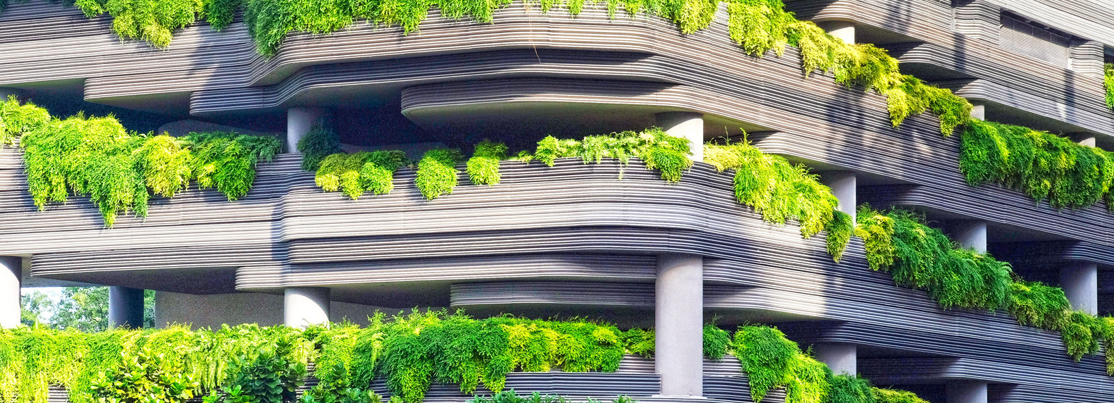Photo of greenery on sustainable building