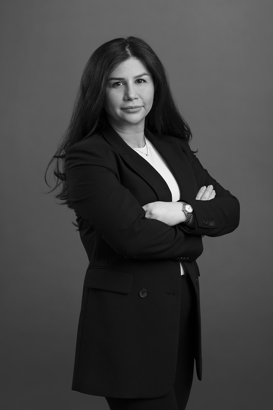 Banafsheh Salehi